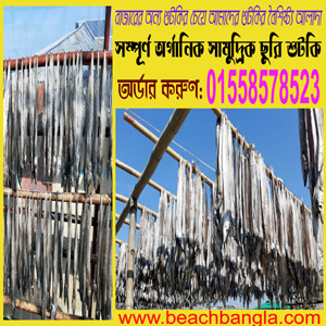 সামুদ্রিক ছুরি শুটকি