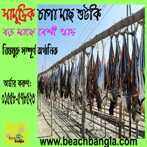 রোদে শুকানো অর্গানিক চাপা শুটকি ১ কেজি