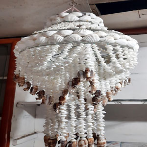 ঝিনুকের ঝুমকা